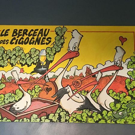 Apartamento Au Berceau Des Cigognes Sélestat Exterior foto