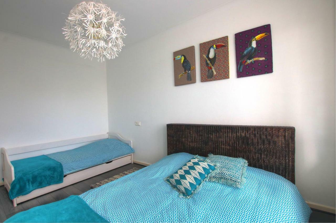 Apartamento Au Berceau Des Cigognes Sélestat Exterior foto