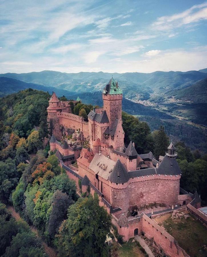 Apartamento Au Berceau Des Cigognes Sélestat Exterior foto